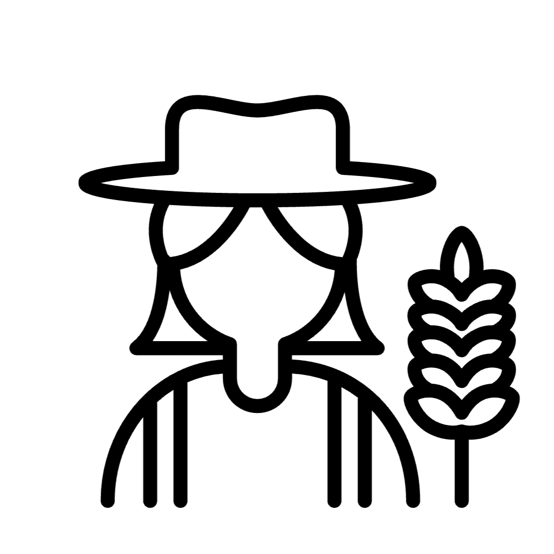 غلات و حبوبات ارگانیک